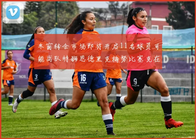 冬窗转会市场即将开启11名球员可能离队特狮恩德里克梅努比塞克在列