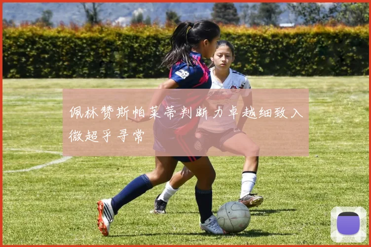 佩林赞斯帕莱蒂判断力卓越细致入微超乎寻常