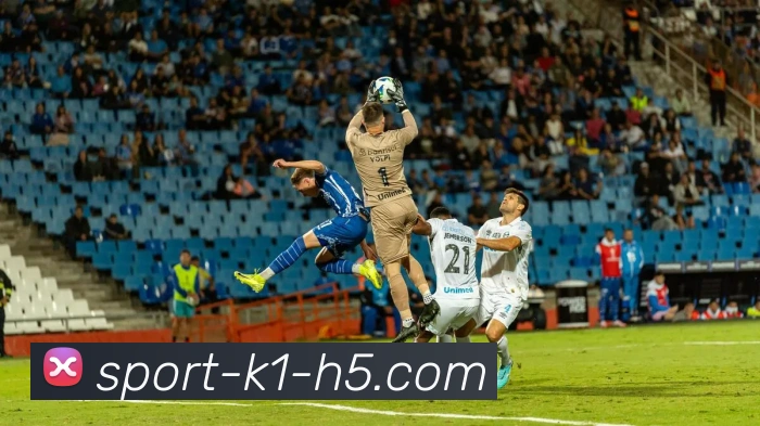 k1体育平台生态图